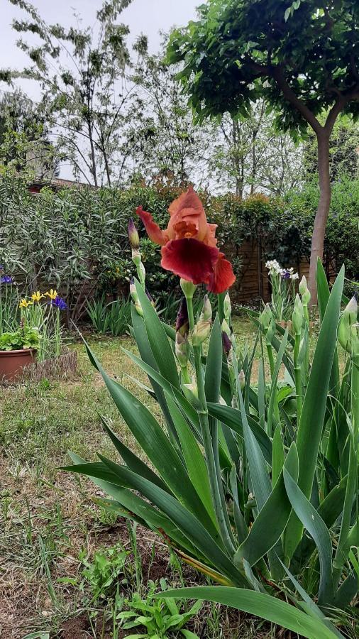Maison Lumineuse Et Spacieuse Avec Jardin Arbore Ла Валет-дю-Вар Екстериор снимка
