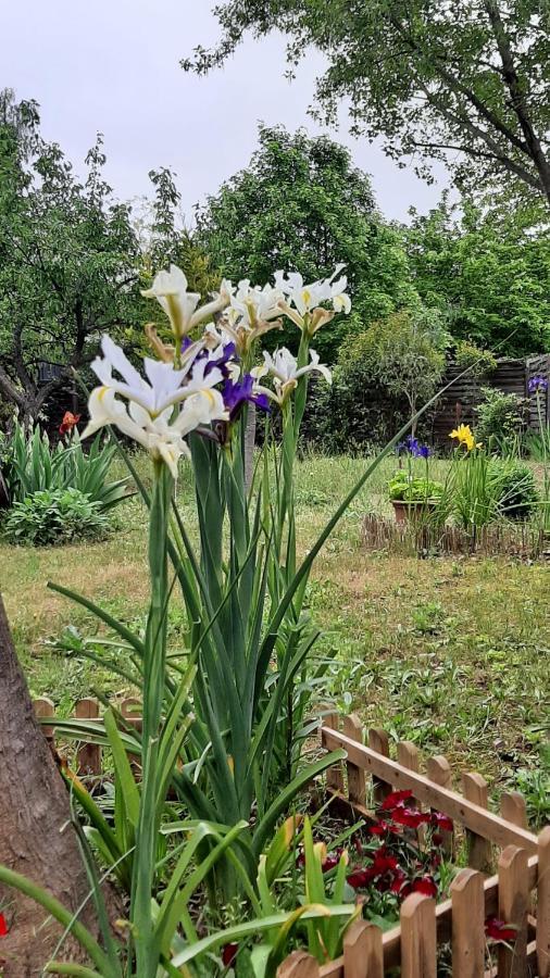 Maison Lumineuse Et Spacieuse Avec Jardin Arbore Ла Валет-дю-Вар Екстериор снимка